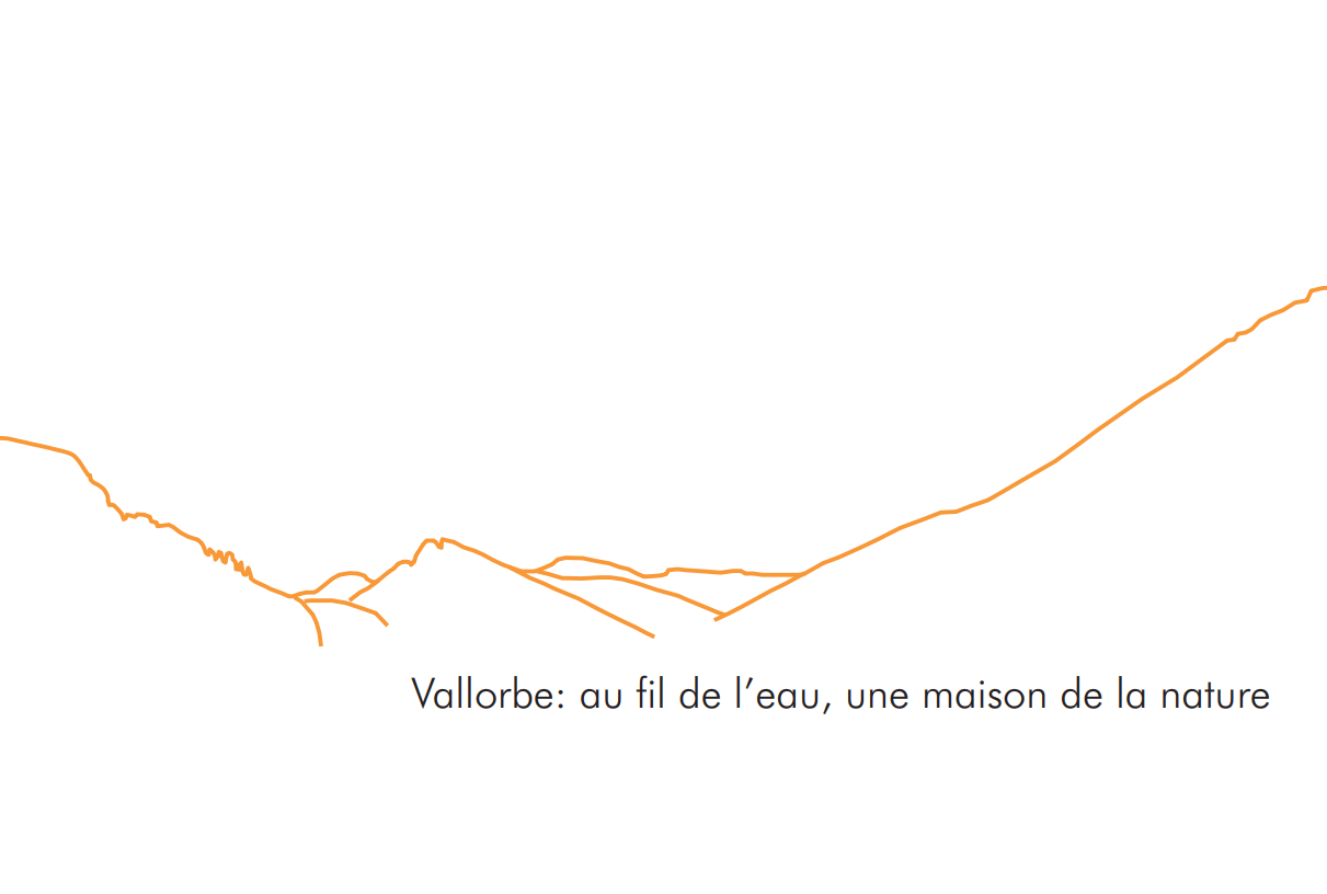 Travail diplôme Azalée